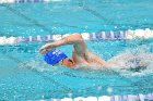 Swimming & Diving vs Babson  Swimming & Diving vs Babson College. - Photo by Keith Nordstrom : Wheaton, Swimming
